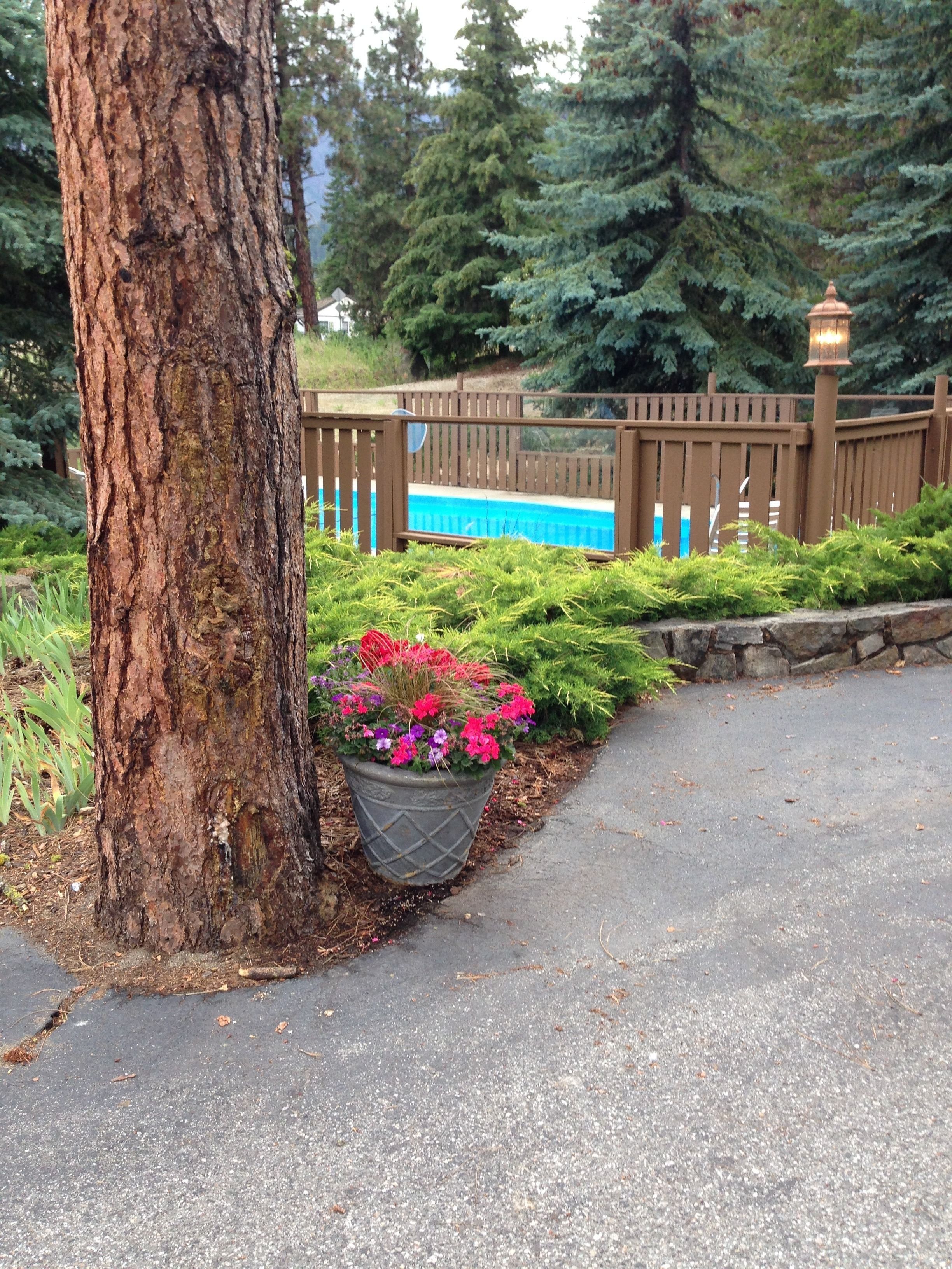 Un sentier bordé d’arbres, agrémenté de jardinières fleuries et d’une clôture en bois en arrière-plan.