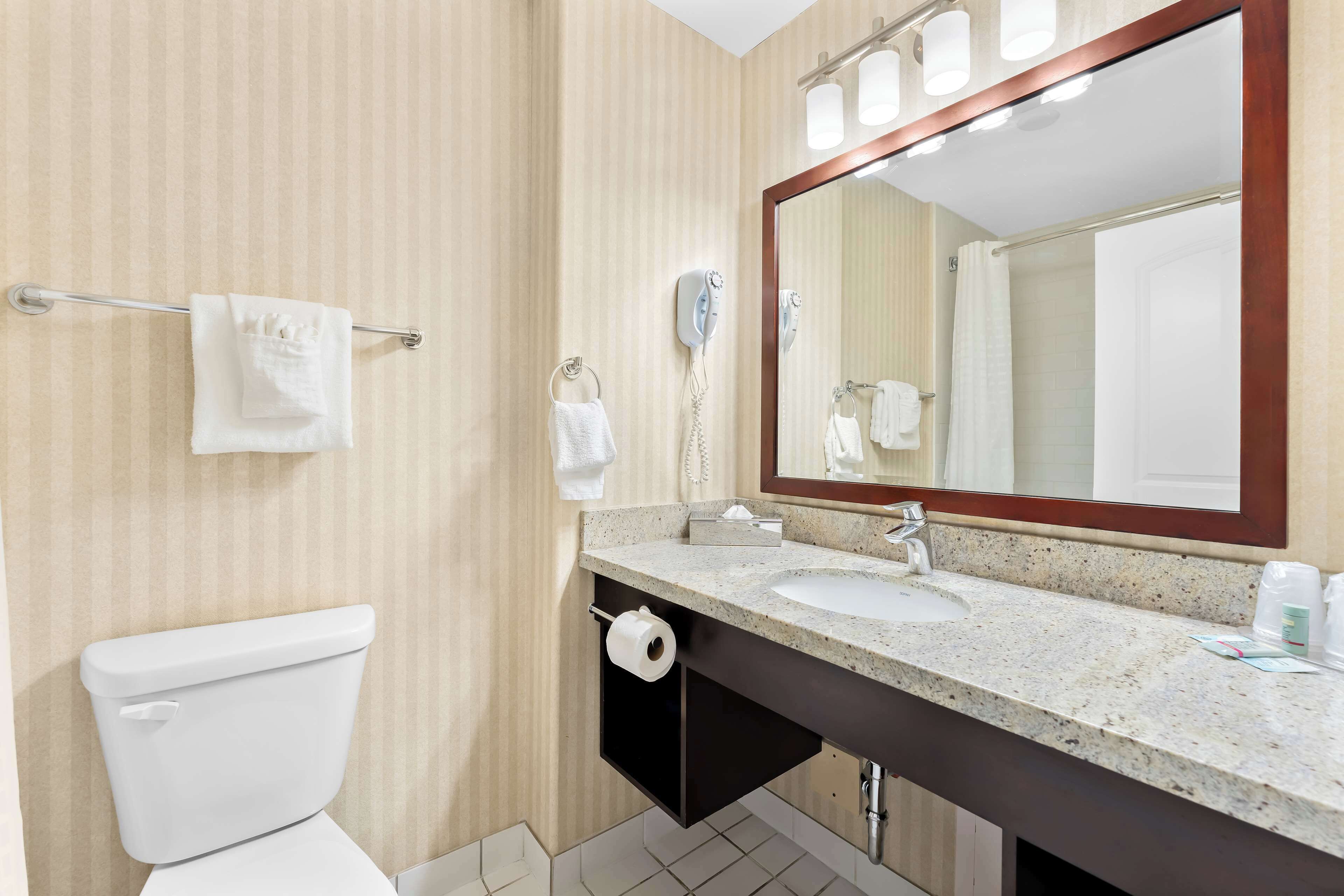 combined shower/bathtub, free toiletries, hair dryer, towels