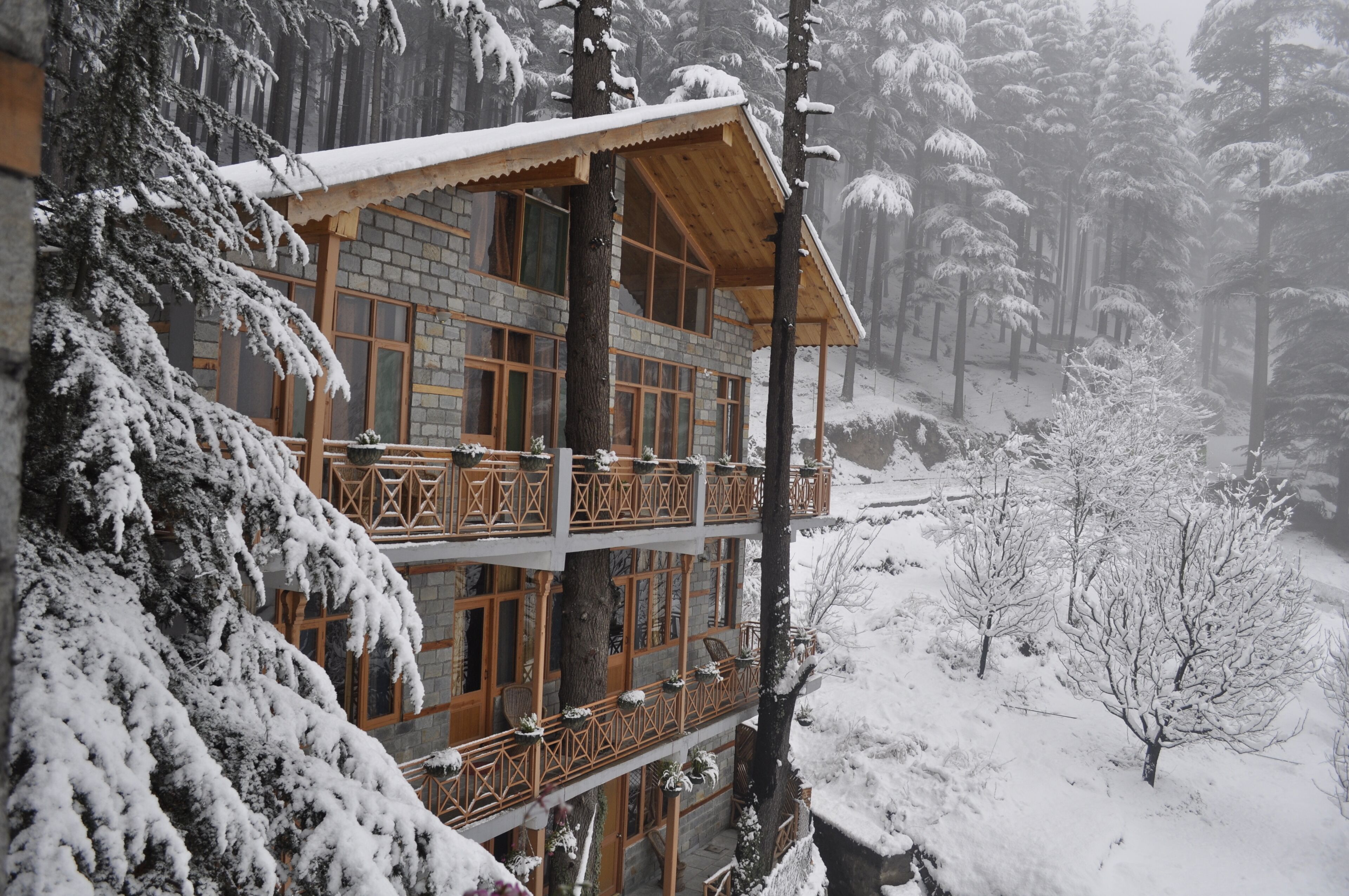 高级房 | 1 多间卧室、迷你吧、客房内保险箱、特色装修