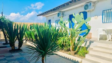 單棟小屋, 海濱 (2 ADL) | 露台/庭院