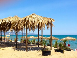 A beach with thatched umbrellas and palm trees, a sandy beach, and the sea in the background. - Villaggio Turistico Europeo (Catania)