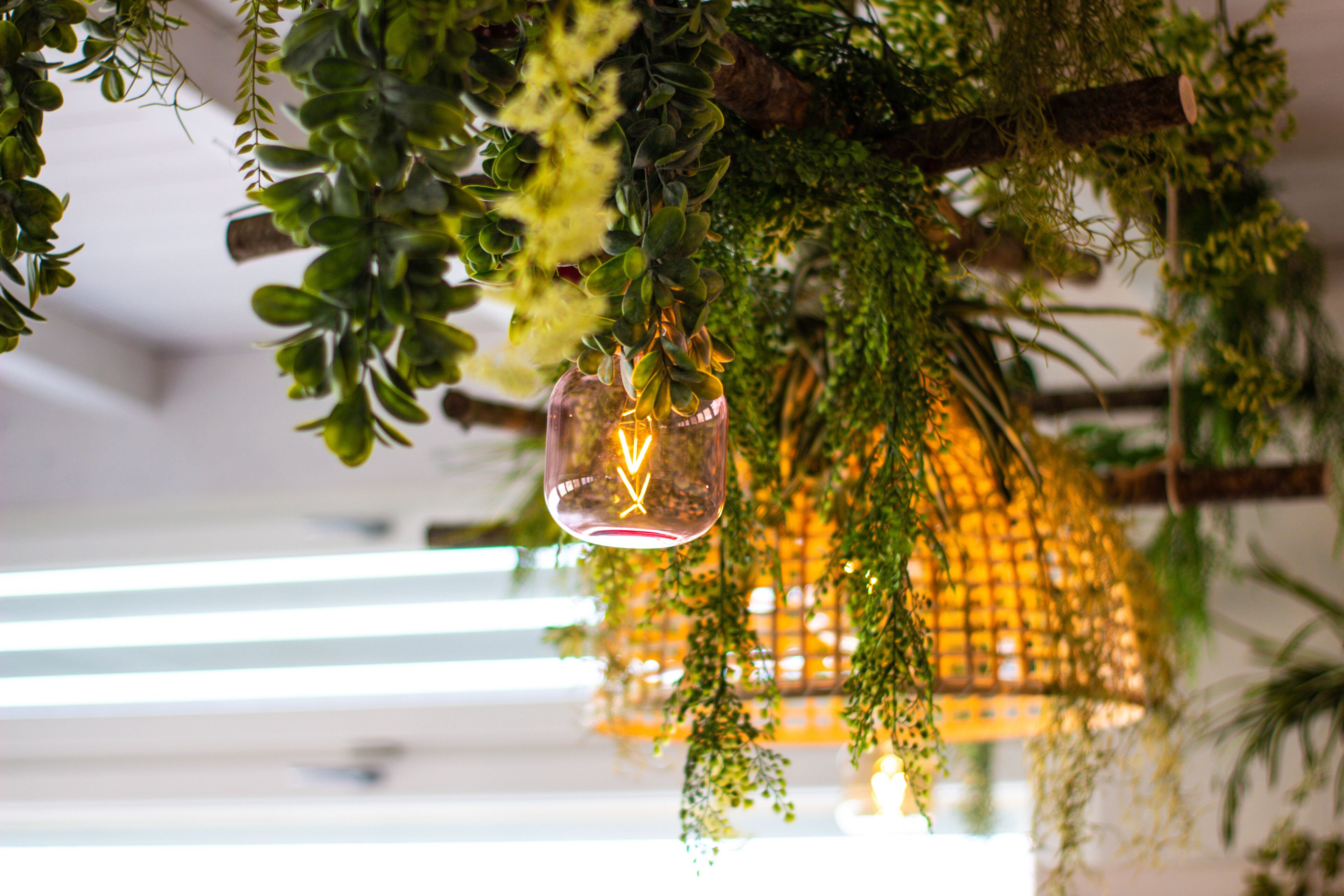 Foto - Sogno D'Epoca 1822