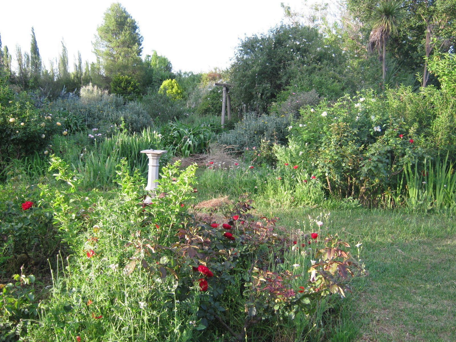 Un jardín con diversas plantas y flores, una fuente de piedra y un pórtico de madera.