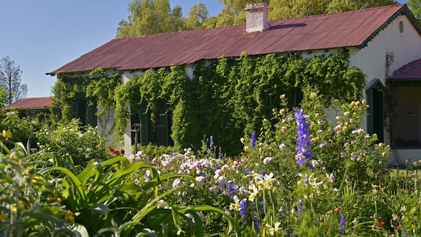 A building with a red roof and ivy-covered walls, surrounded by a garden with various flowers.