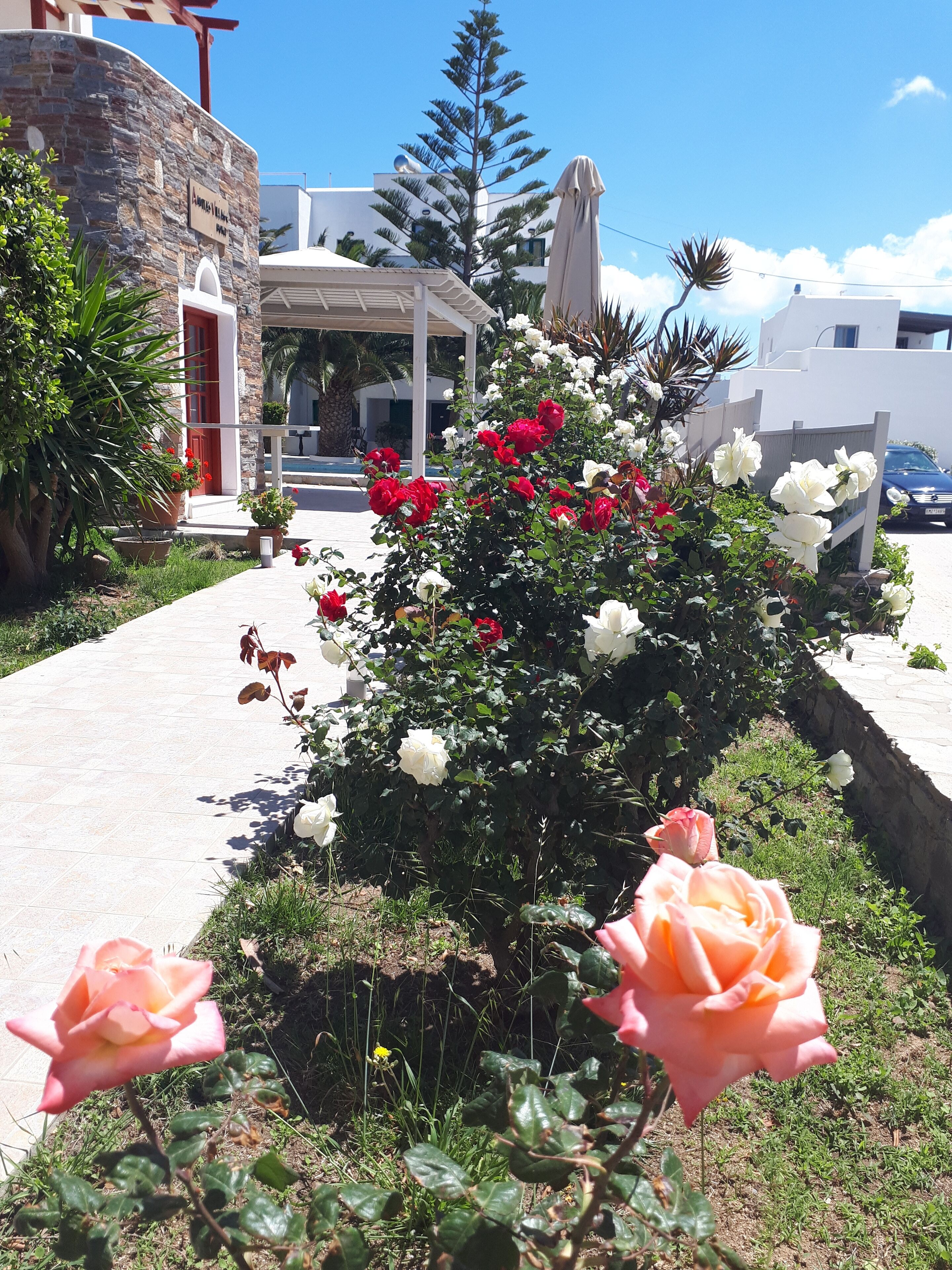 A garden with roses and a stone building.
