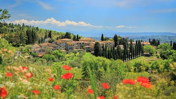 Un pueblo en una ladera con construcciones tradicionales, vegetación exuberante y amapolas rojas en primer plano.