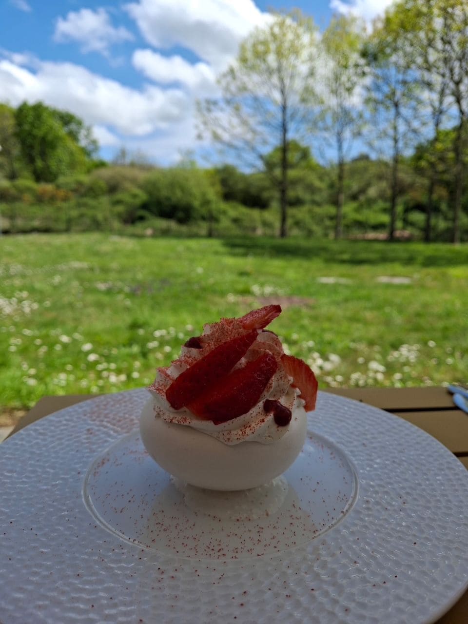 Postre sobre un plat de paper blanc amb superfície rugosa, col·locat a l'exterior amb un camp herbós i arbres al fons.