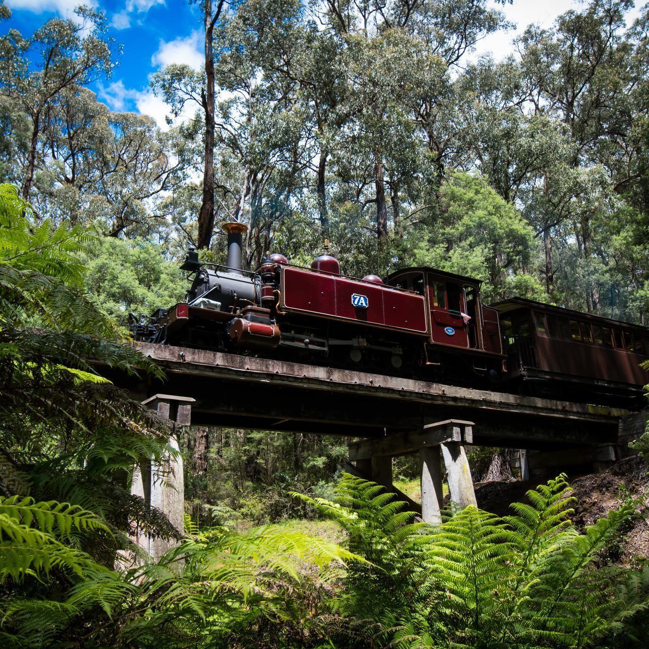 Una locomotora de vapor sobre un puente, rodeada de un bosque denso.