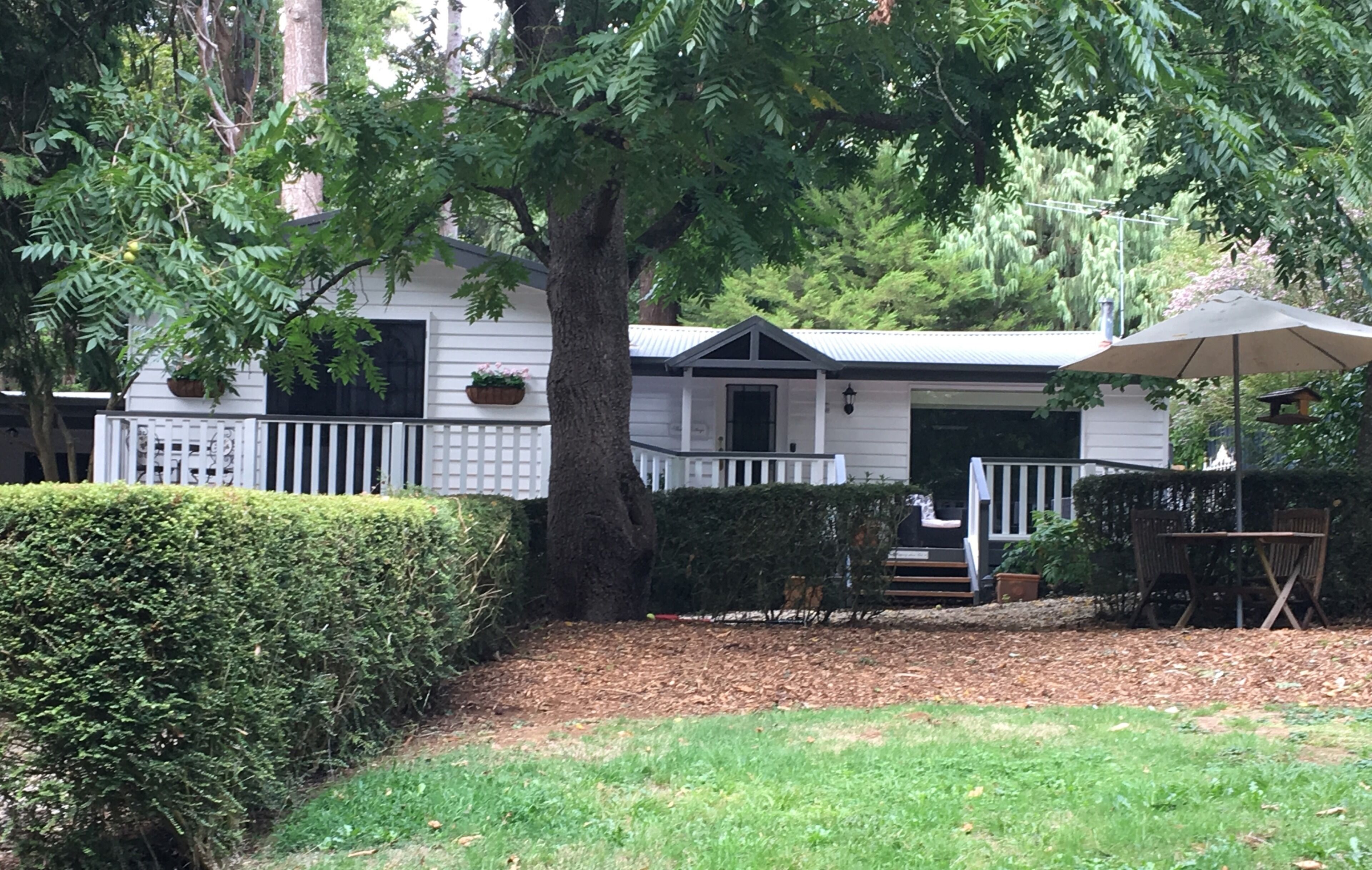 A white house with a porch, a tree in front, and a hedge to the left.