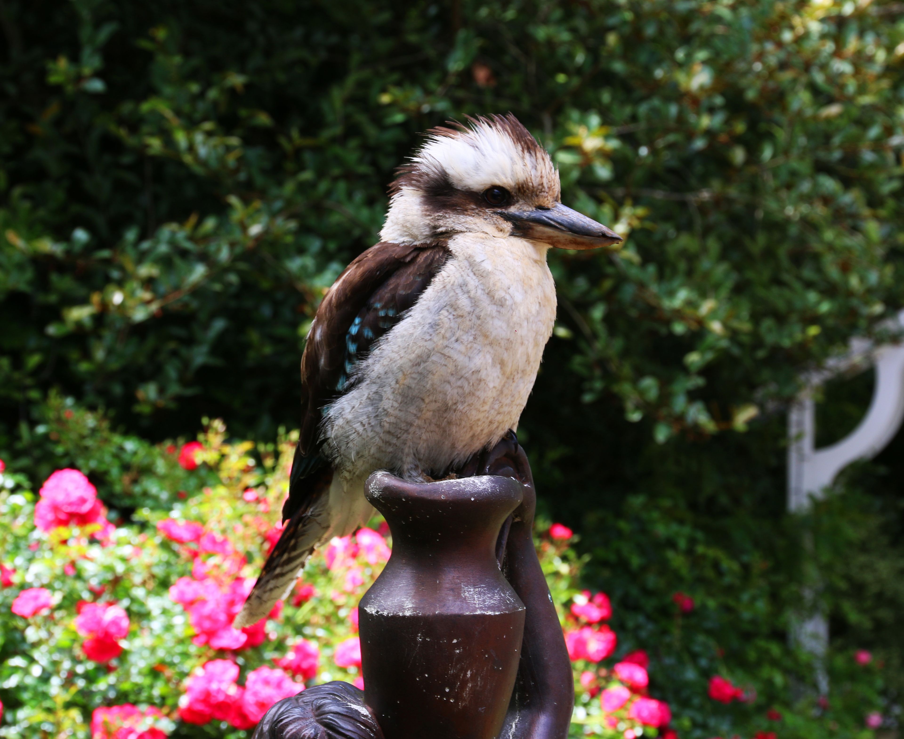 A bird perched on a decorative vase.
