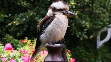 A bird perched on a decorative vase.