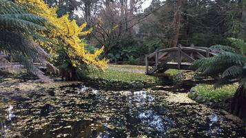 Un jardín tranquilo con un estanque, un puente de madera y varios árboles, incluido uno con hojas amarillas.
