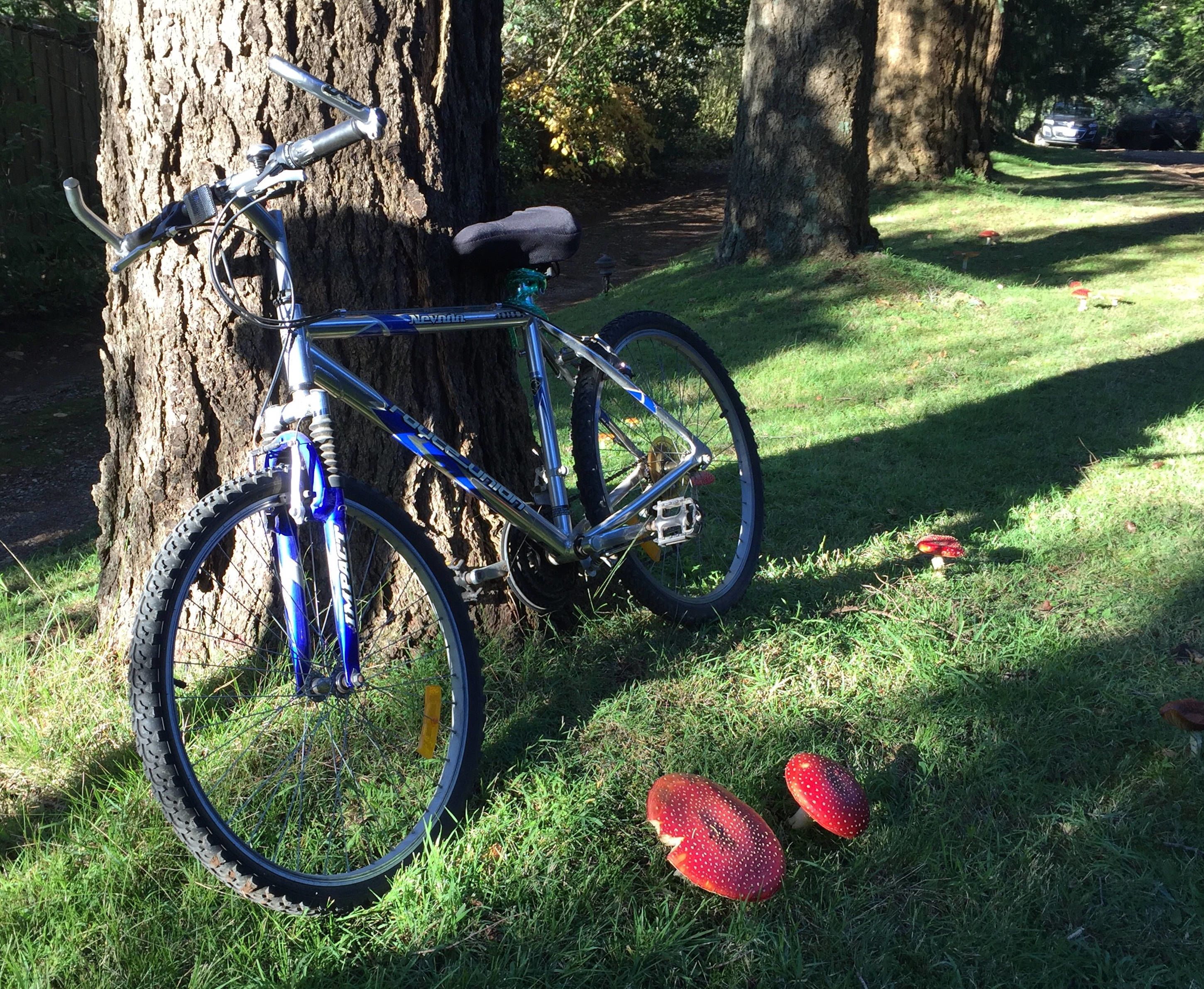 A bicycle parked near a tree in a grassy area.