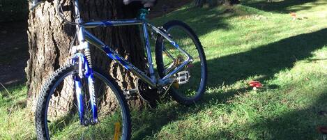 A bicycle parked near a tree in a grassy area.