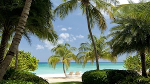 A tropical garden with palm trees, a neatly trimmed hedge, and a clear view of the beach. - Caribbean Club Luxury Condo Hotel (Seven Mile Beach)