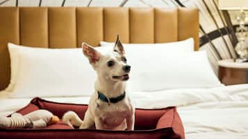 Pet-friendly