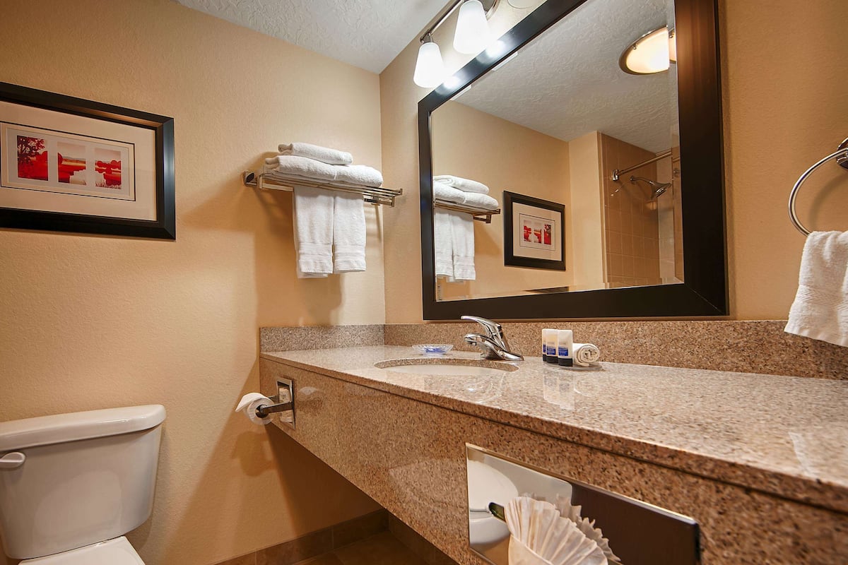 Free toiletries, hair dryer, towels, soap