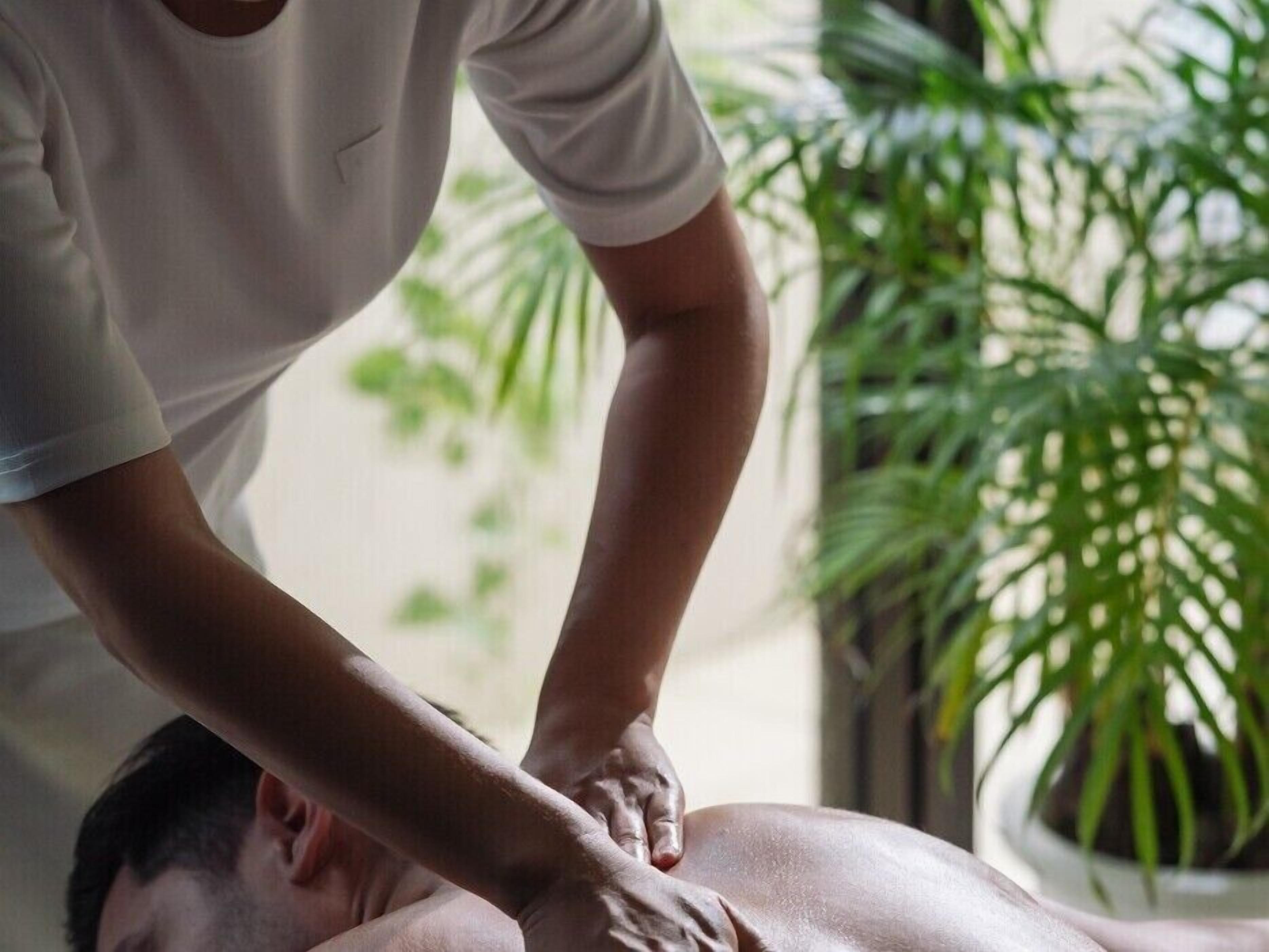 Massagebehandling i et rum med en stor stueplante og et vindue.