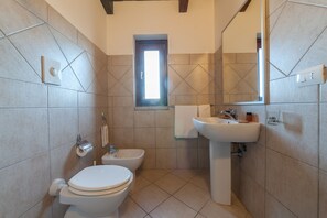 Shower, hair dryer, bidet, towels