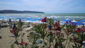 Une plage avec des parasols bleus et des fleurs rouges au premier plan.