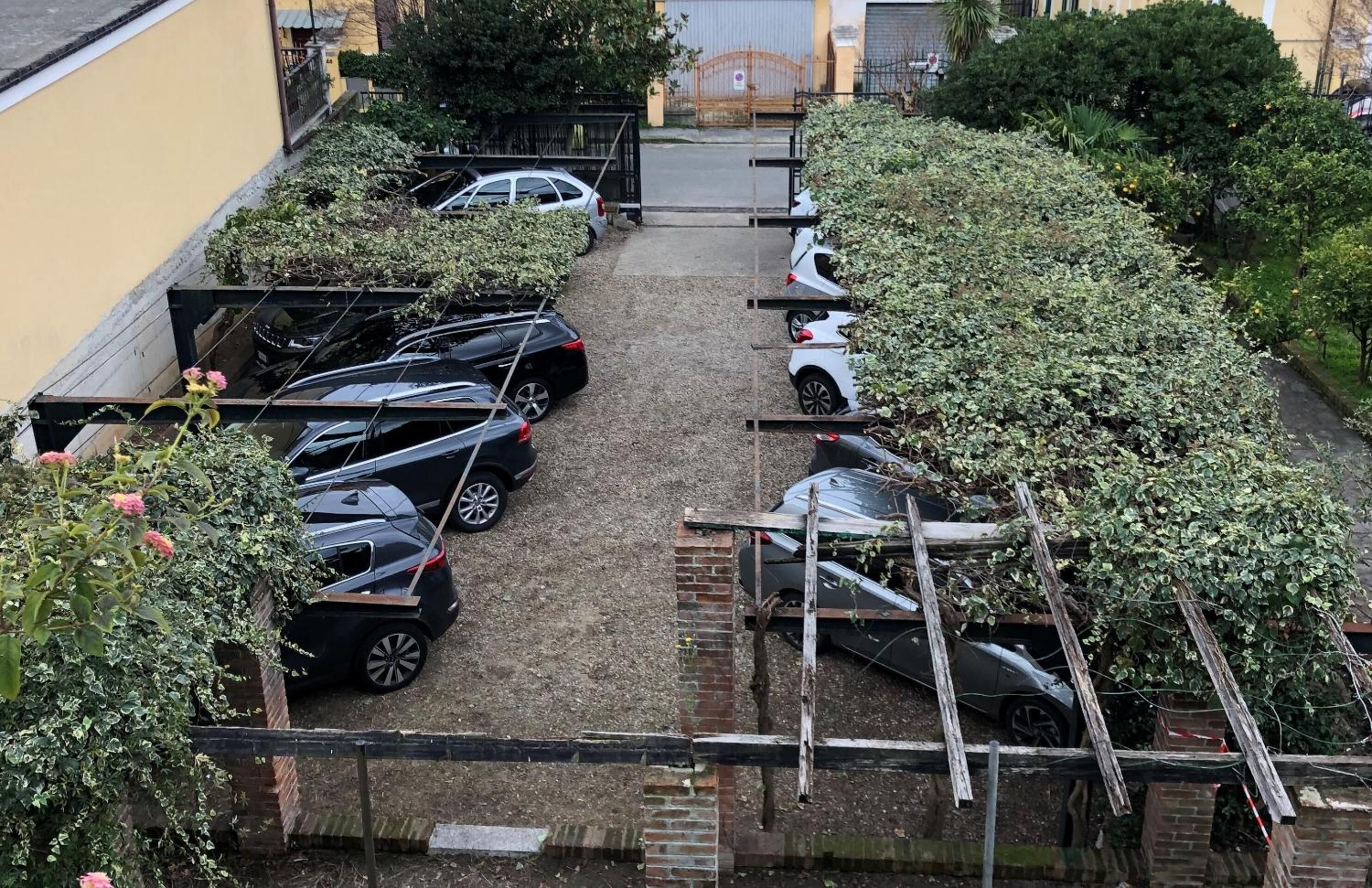 A parking area with cars parked in rows, surrounded by greenery and a brick wall.