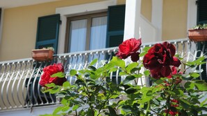 A balcony with wrought iron railings and red roses in the foreground. - Hotel Miranda (Varazze)