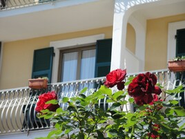 Detalle exterior