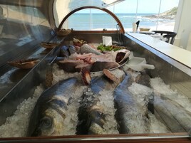 Exhibición de mariscos con diversos pescados y mariscos sobre hielo, vista desde el interior de una embarcación con vista al océano.