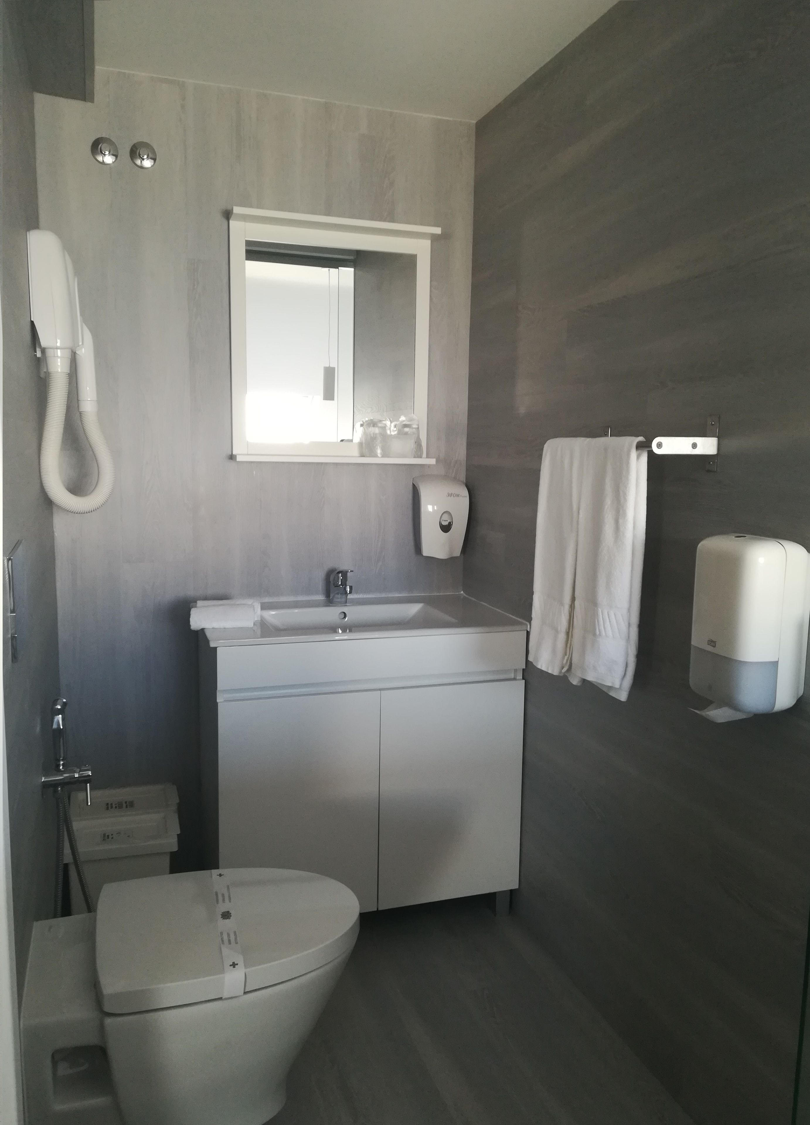 eco-friendly toiletries, hair dryer, towels, soap