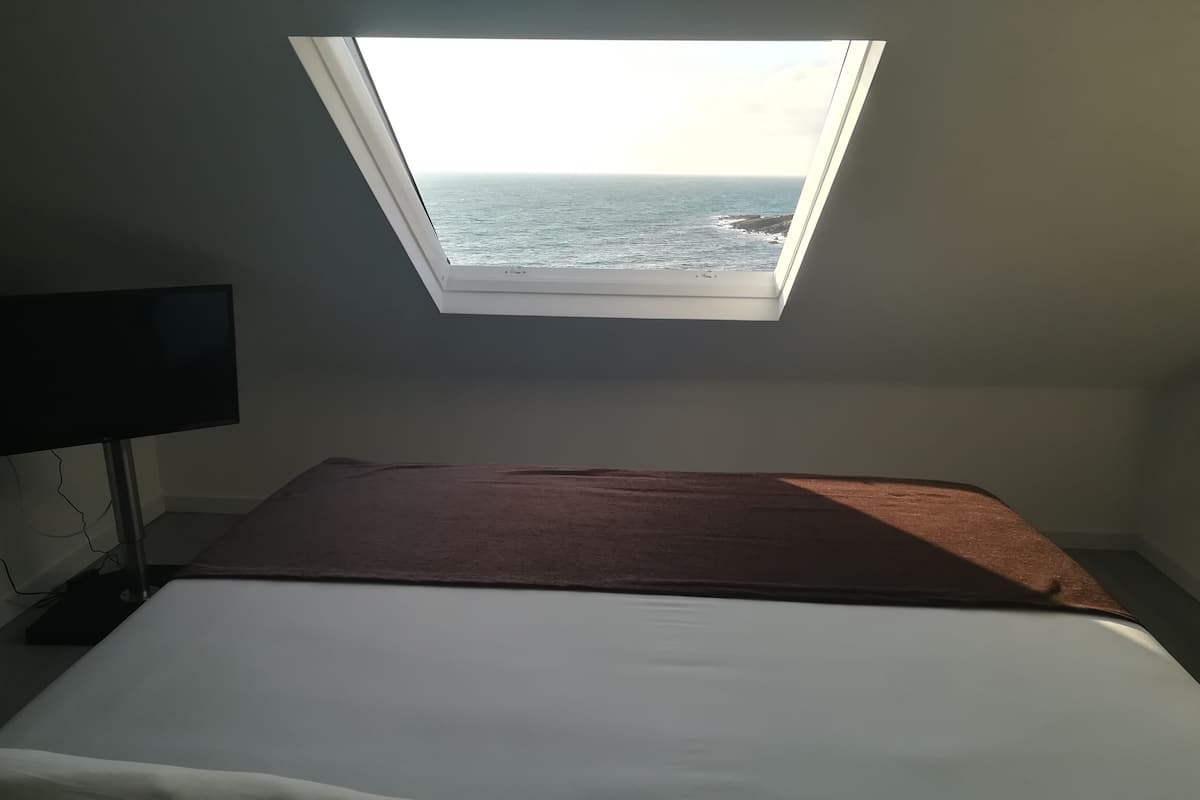 A bedroom with a skylight, a bed, and a TV.