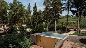 Sauna, hot tub, Turkish bath/hammam, body treatments, facials