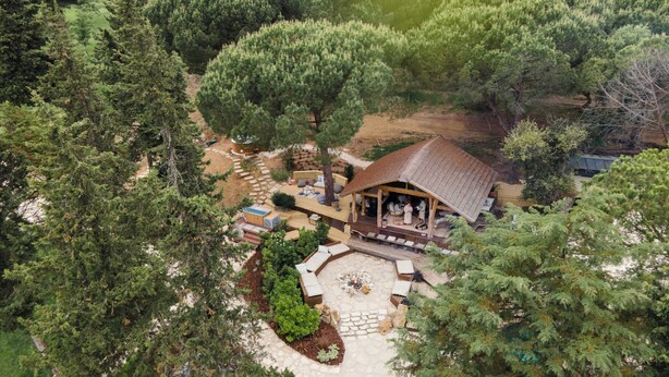 Una casa rodeada de un bosque frondoso, con un patio y un espacio de estar cubierto al aire libre.