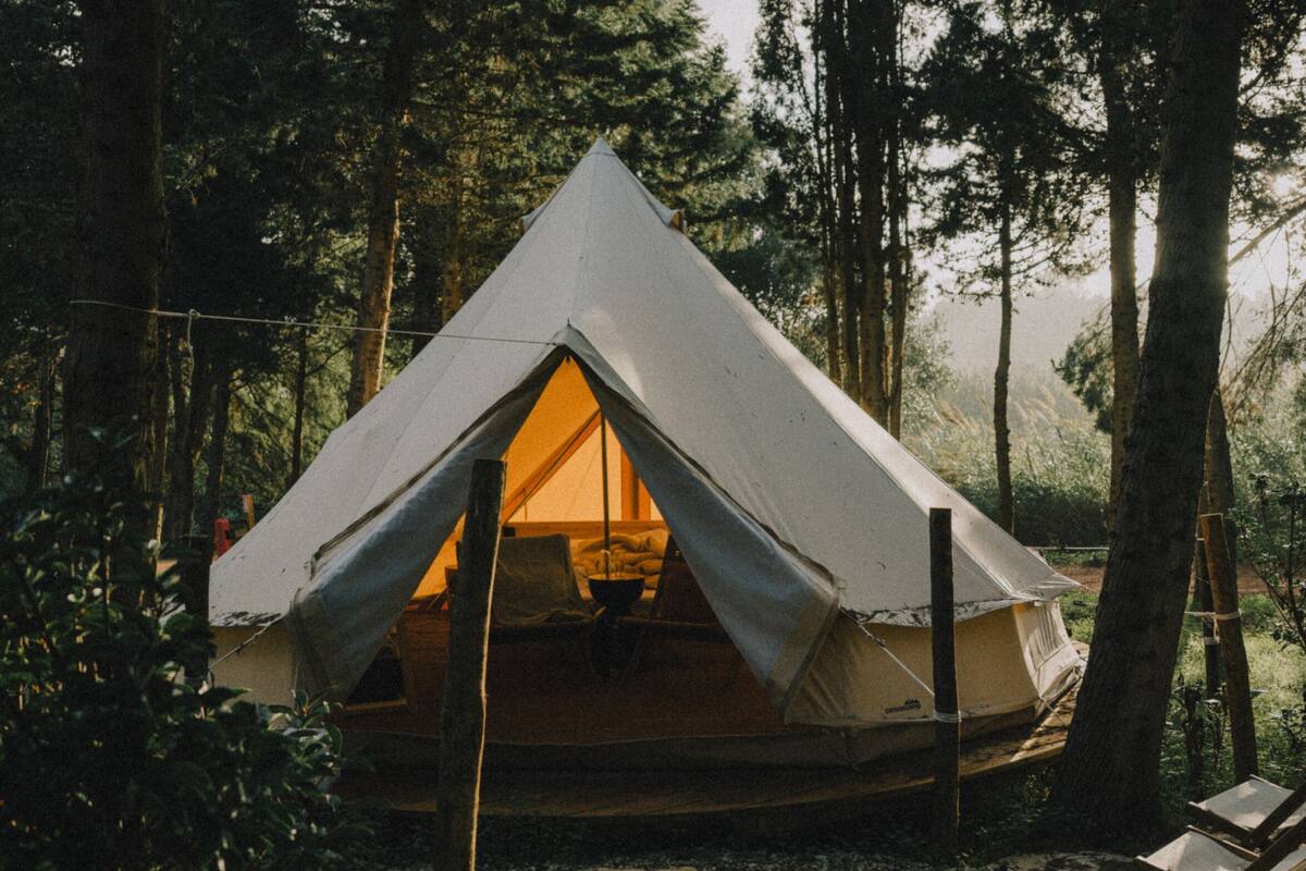 Ein Zelt in einem Wald mit Blick ins Innere.