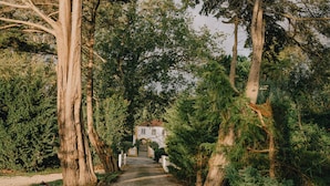 Un sendero adoquinado que conduce a un edificio rodeado de árboles.