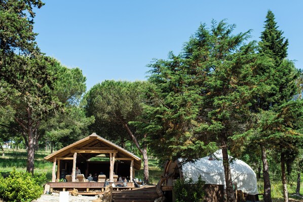 Sauna, bain à remous, hammam, soins corporels, soins du visage