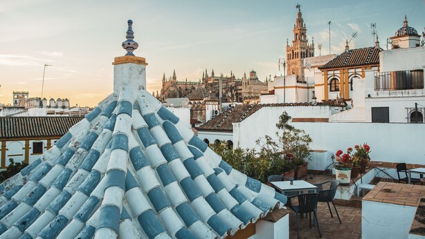 A rooftop terrace with a tiled roof, a table, chairs, and potted plants. - Hotel Boutique Elvira Plaza (Seville)