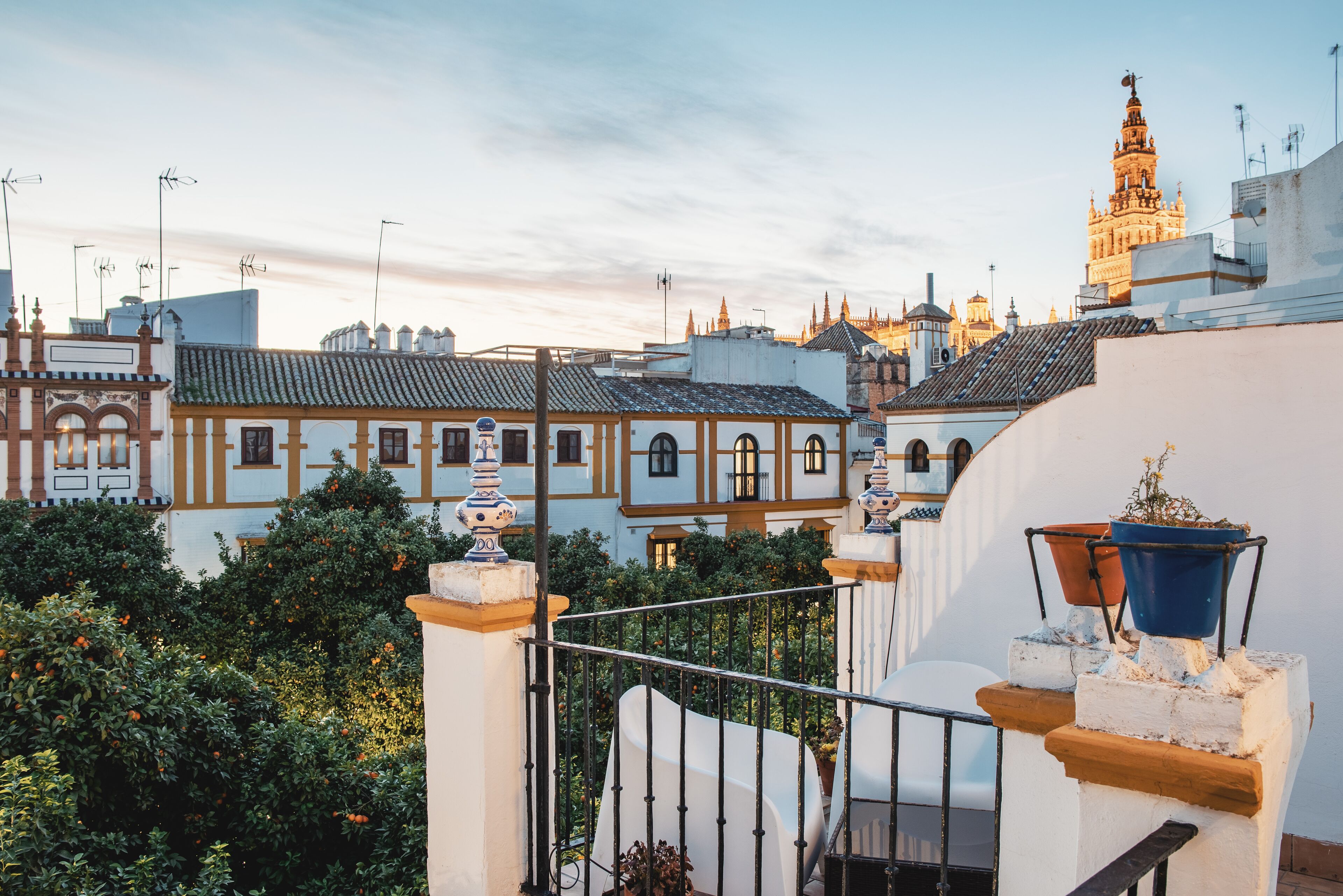 Foto - Hotel Boutique Elvira Plaza