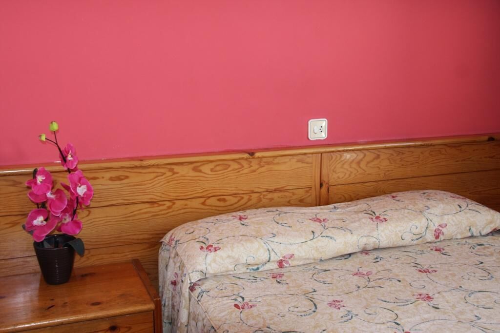 Photo - Hostal Magnolia