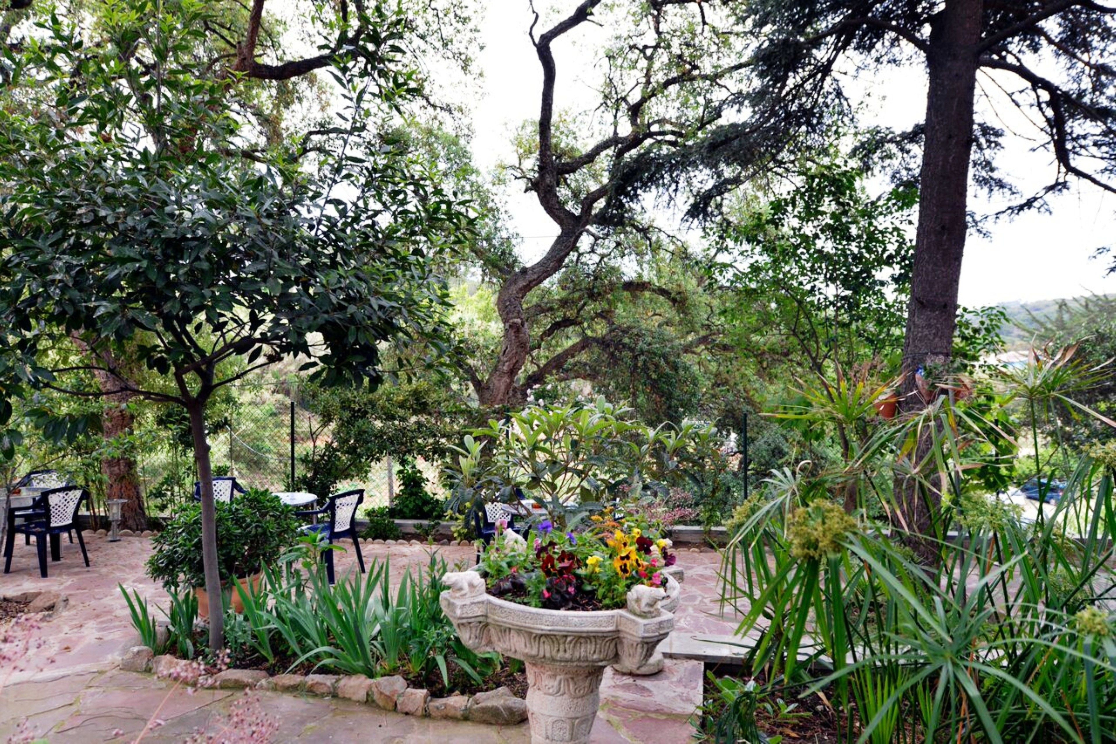 Photo - Hostal Magnolia