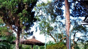 Taman