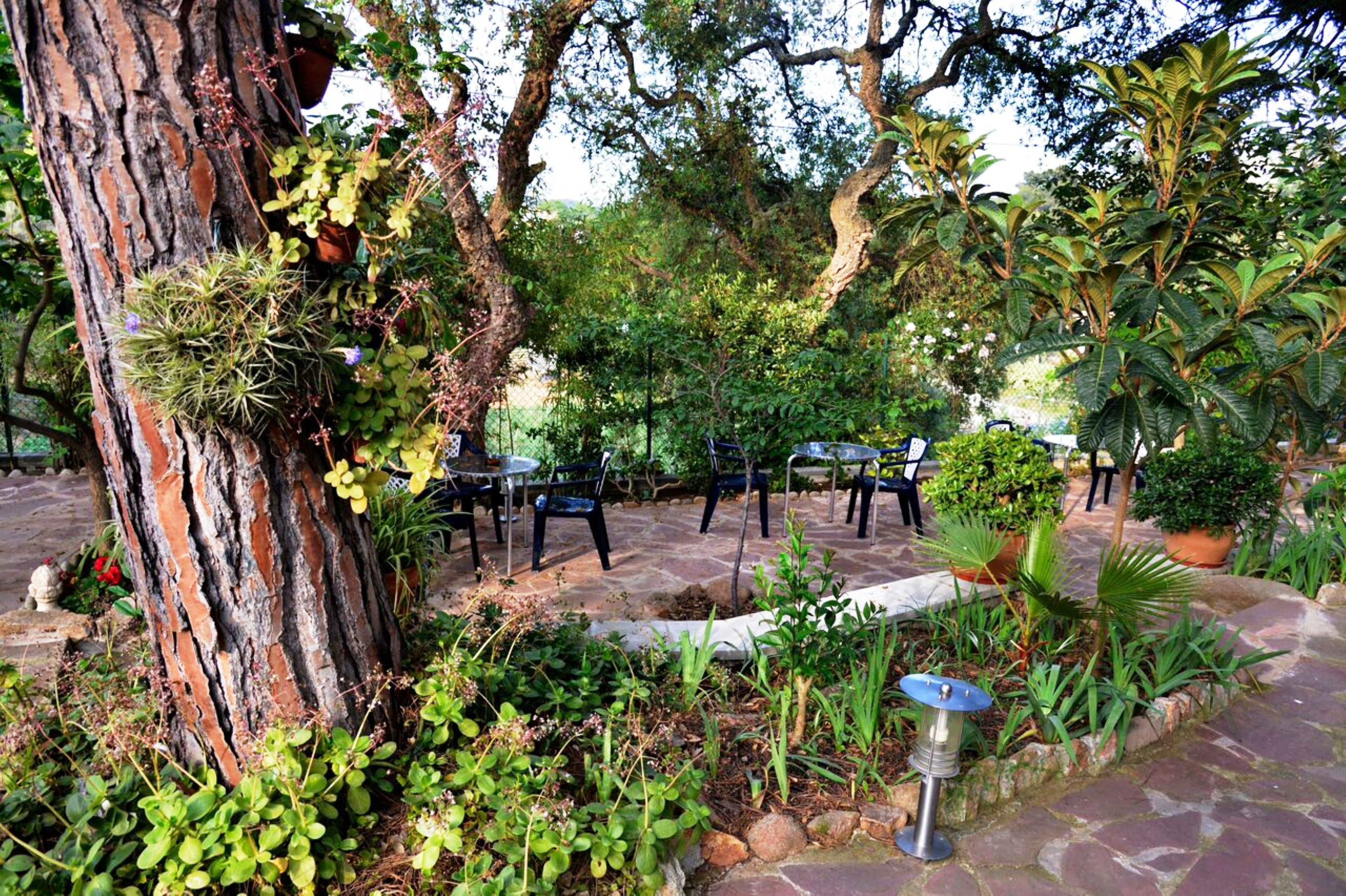 Photo - Hostal Magnolia