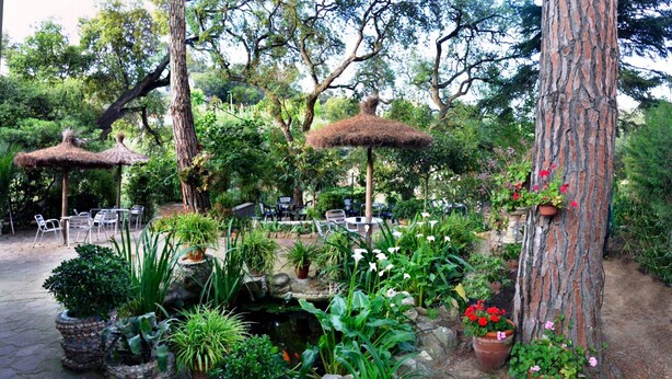 Taman