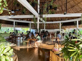 Se sirven desayunos y cocina internacional, con vista a la piscina 