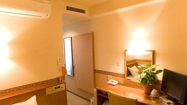 Een hotelkamer met een bed, bureau, stoel, televisie en een potplant.