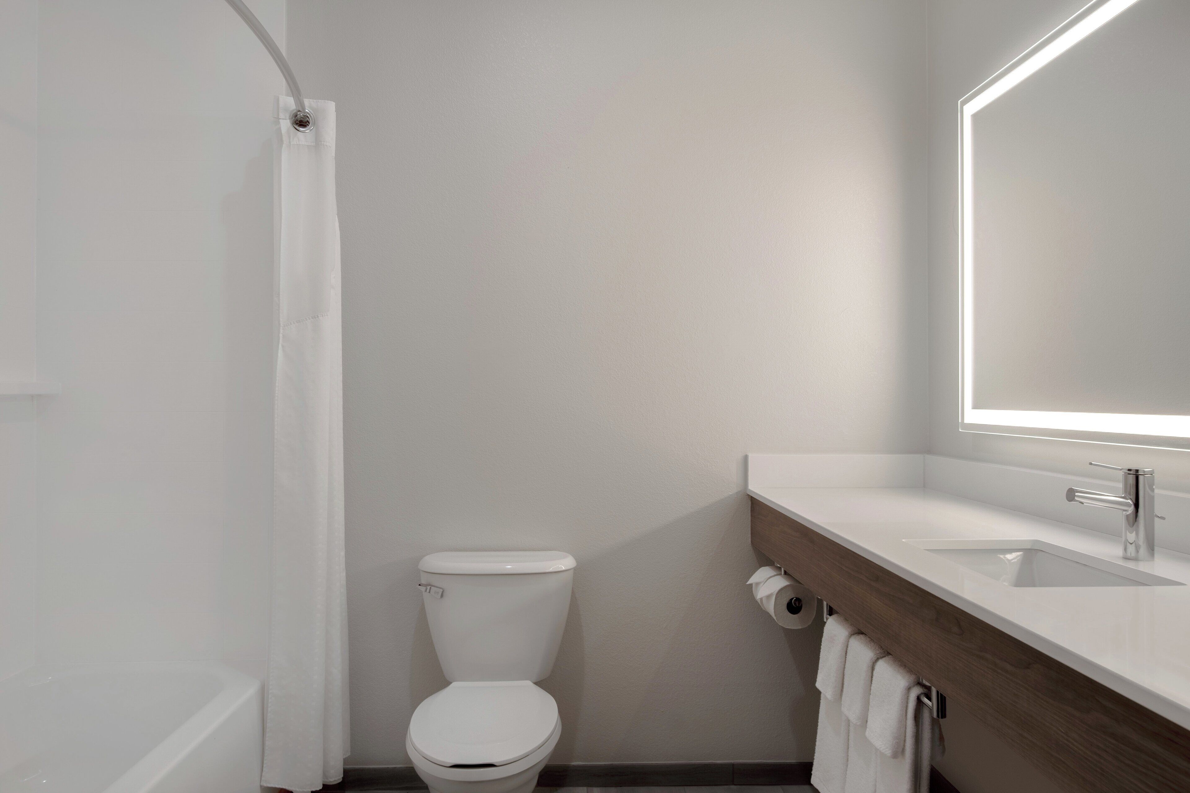 combined shower/bathtub, free toiletries, hair dryer, towels