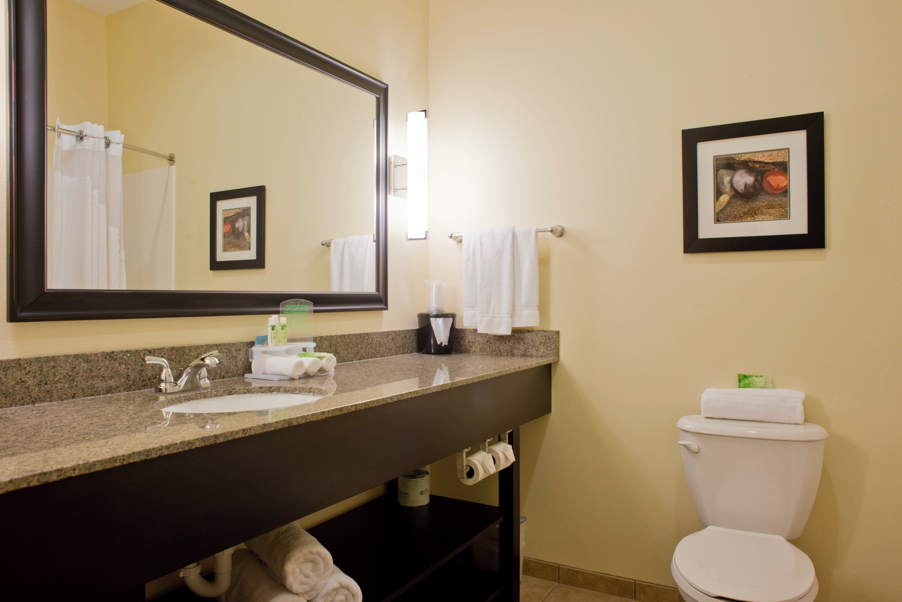 A bathroom with a sink, mirror, toilet, and towel rack.