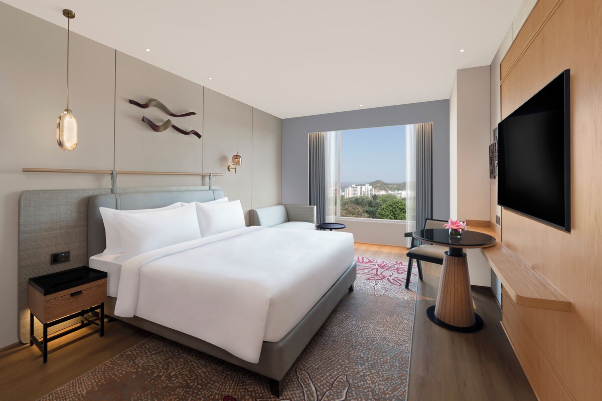 Habitació Club, 1 llit de matrimoni gran (Premium) | Cuina privada | Cafetera i tetera, frigorífic i bullidora elèctrica 