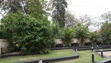 Vườn