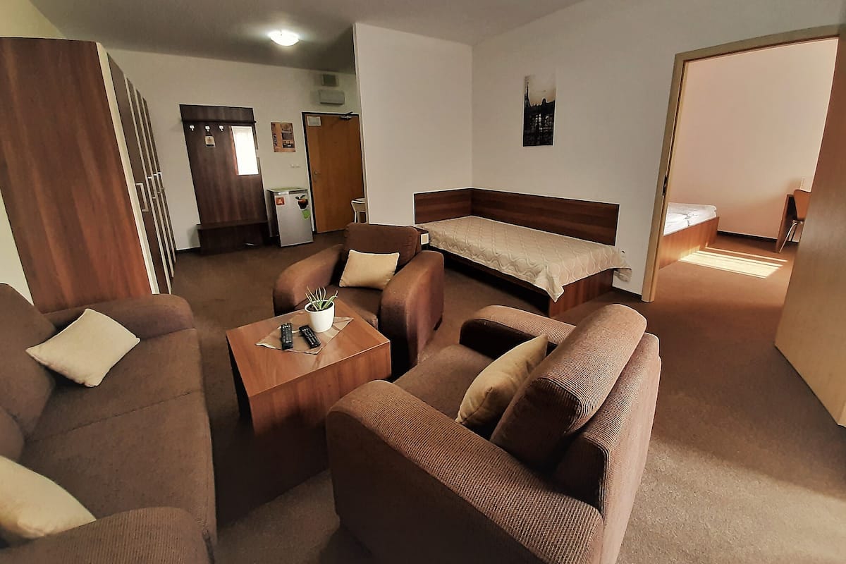 A room with a bed, two sofas, a small table with a plant, and a kitchenette in the background.