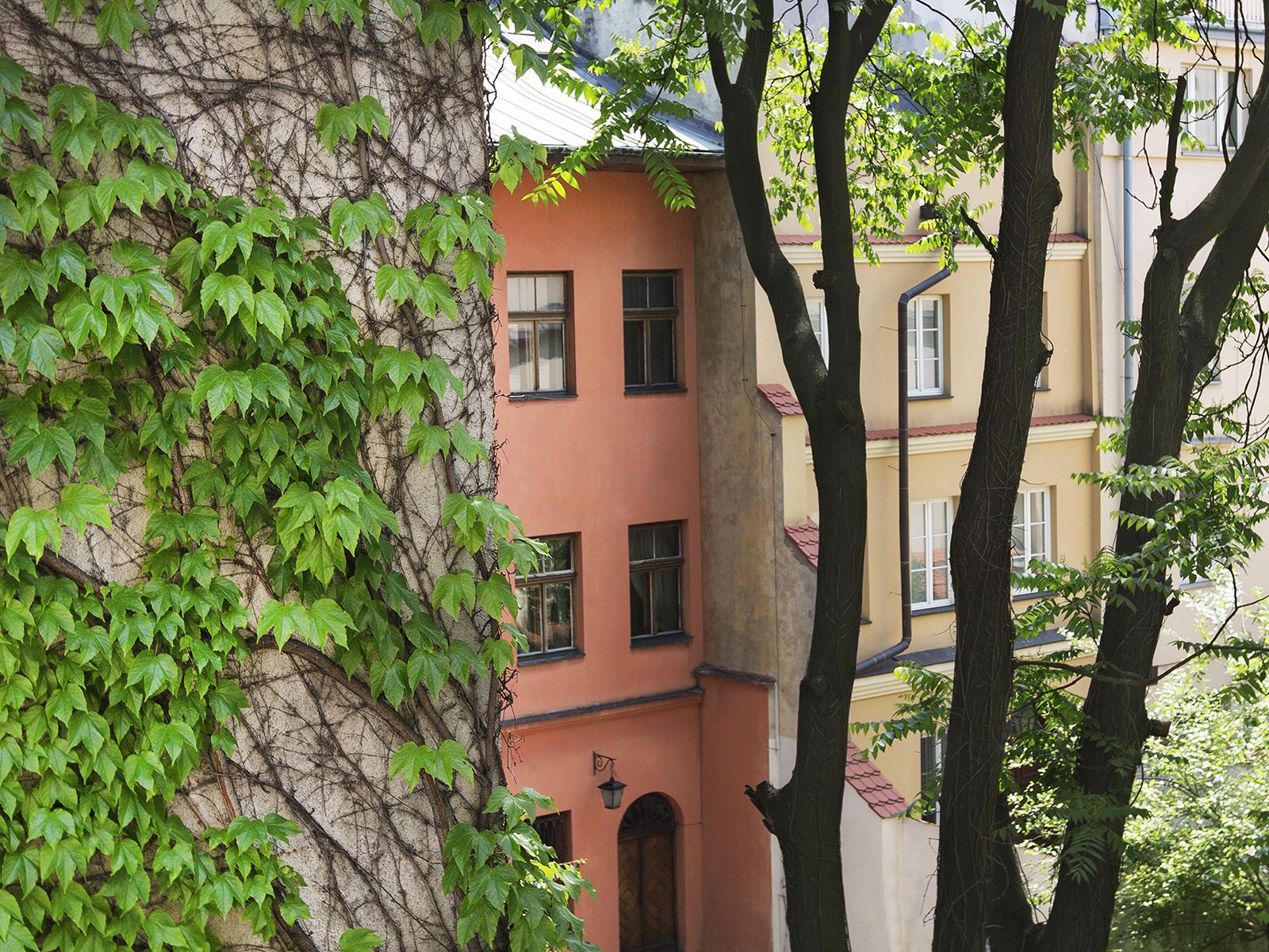 A building with a pink facade and multiple windows.